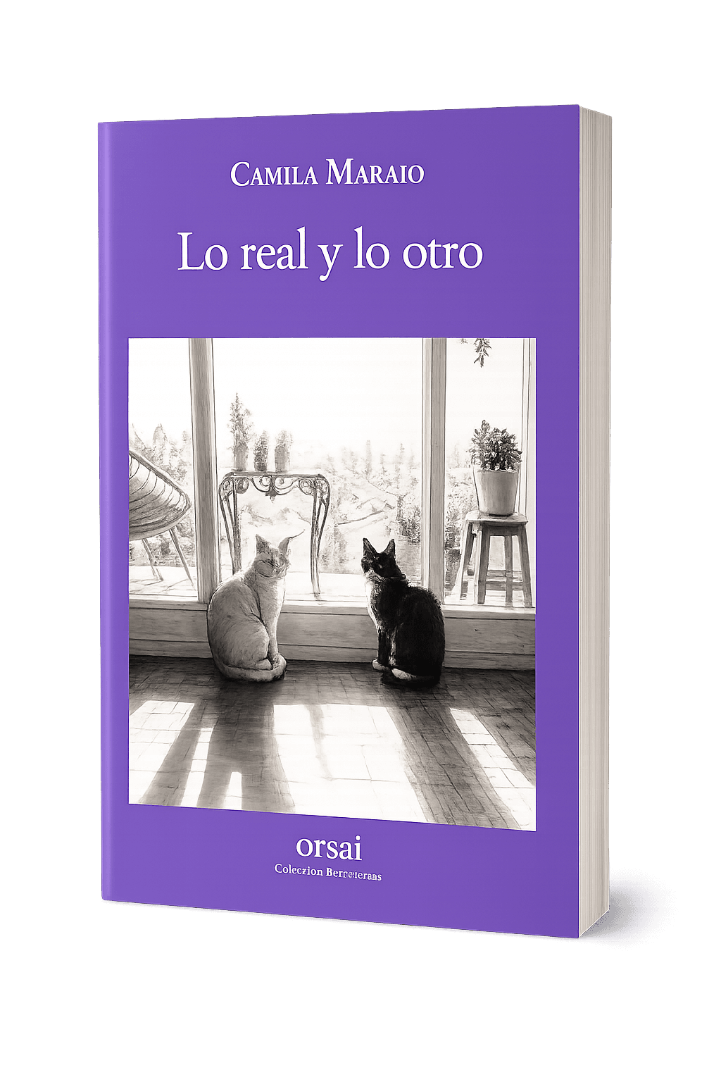 Lo real y lo otro